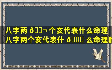 八字两 🐬 个亥代表什么命理「八字两个亥代表什 🐛 么命理的意思」